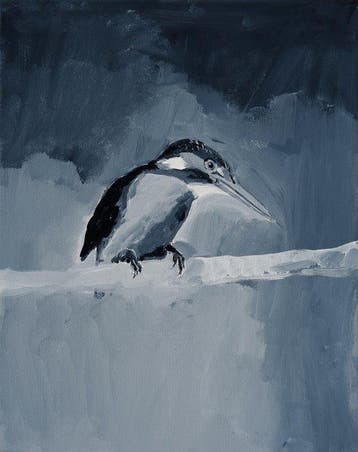 Matthieu van Riel - IJsvogel