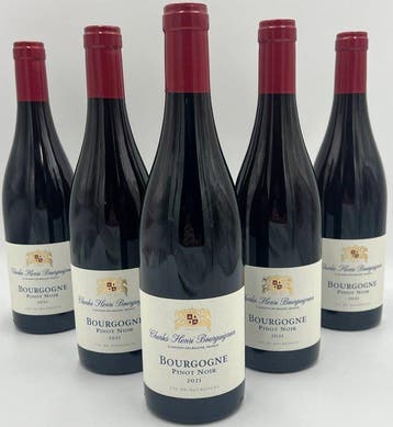 2021 Charles Henri Bourguignon - Bourgogne - 6 Flessen (0.75, Nieuw
