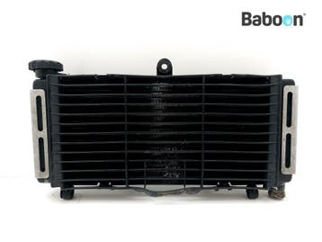 Radiateur Honda CB 600 F Hornet 2000-2002 (CB600F CB600S, Verzenden, Gebruikt