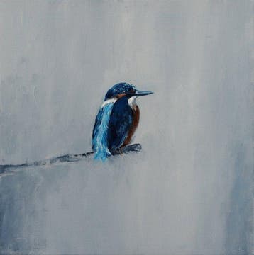 Matthieu van Riel - IJsvogel