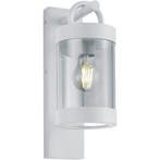 LED Tuinverlichting met Dag en Nacht Sensor - Wandlamp, Nieuw, Ophalen of Verzenden, Hanglamp, Led
