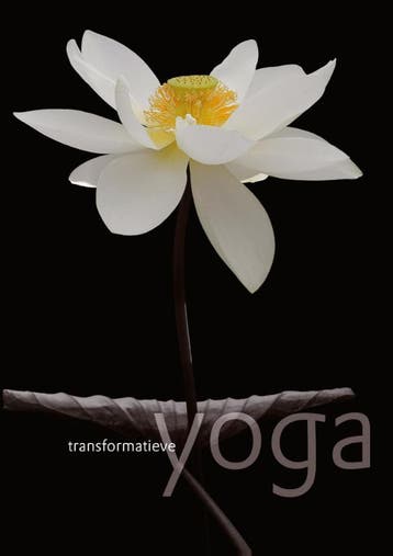 Transformatieve yoga 9789020211399, Verzenden, Zo goed als nieuw