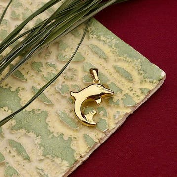 Gouden hanger van een dolfijn (Hanger of bedel), Sieraden, Tassen en Uiterlijk, Bedels, Ophalen of Verzenden, Gebruikt, Goud, Overige merken