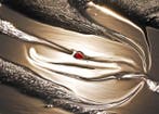 Bruno Paolo Benedetti - Sunlight Reflections 1 of 30