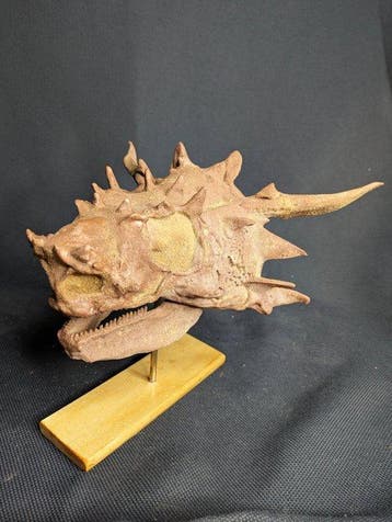 Fossiele schedel - Elginia - Museum-Grade Replica - 19 cm -