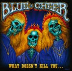 cd - Blue Cheer - What Doesnt Kill You..., Verzenden, Zo goed als nieuw