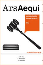 Jurisprudentie Loonheffingen 2022 9789493199606, Boeken, Verzenden, Zo goed als nieuw