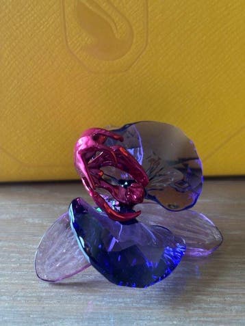 Swarovski - swarovski - Figuur - SCS - 2024 - Idyllia Orchid