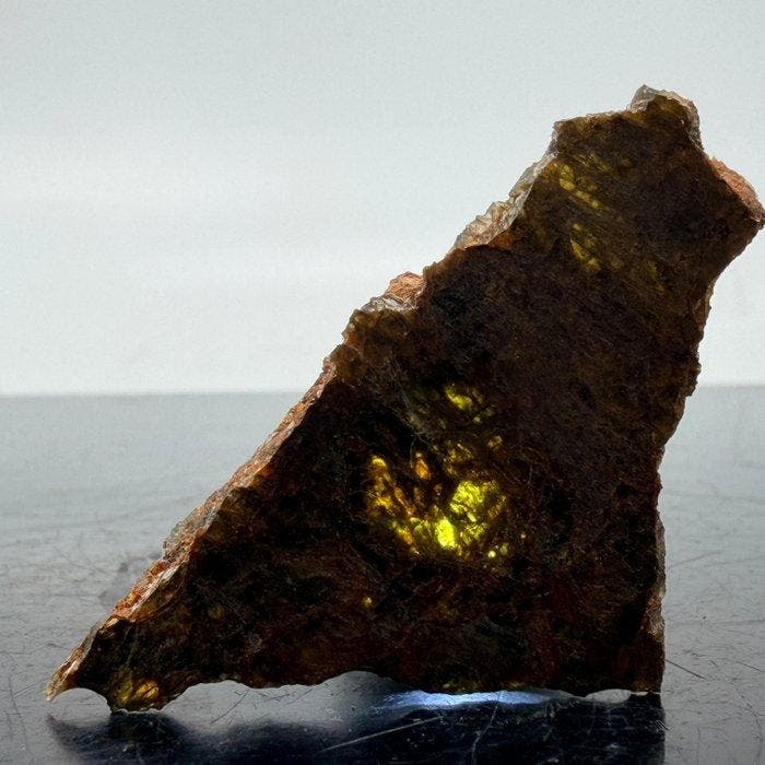 Diogenita NWA 7831 Uitstekende kwaliteit meteoriet van de, Verzamelen, Mineralen en Fossielen