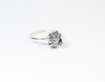 Meteoriet Campo del Cielo ring / nieuw 925. Sterlingzilver -
