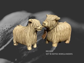 koevel koehuid koeienvacht koeienhuid koeienhuiden, Nieuw, Overige kleuren, Modern basic landelijk stoer uniek 