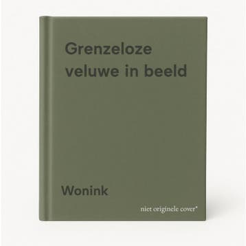 Grenzeloze veluwe in beeld - Wonink 9789064400711, Verzenden, Gelezen, Wonink