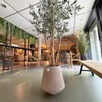Kunstplant in pot, Colours&Green, Olive tree, Huis en Inrichting, Nieuw