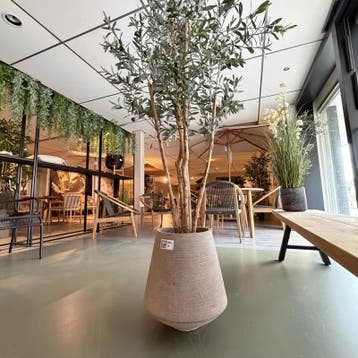 Kunstplant in pot, Colours&Green, Olive tree, Huis en Inrichting, Nieuw