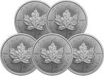 5 Troy Ounce - Zilver .999 - Maple Leaf 2026 - 155,5 gram -