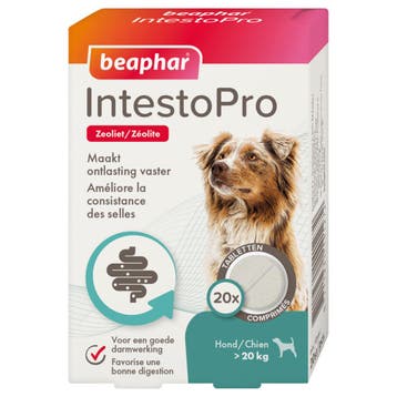 Beaphar IntestoPro tabletten hond vanaf 20kg, Verzenden