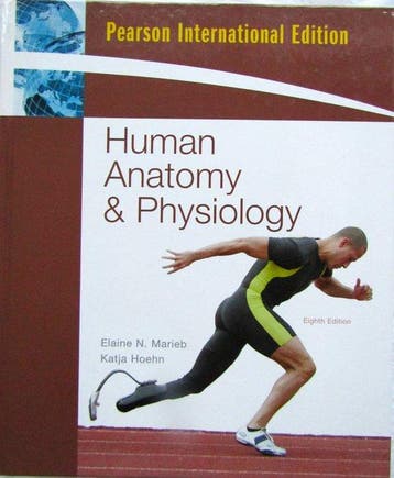 9780321602619 Human anatomy  physiology with myap, Verzenden, Zo goed als nieuw, Elainemarieb