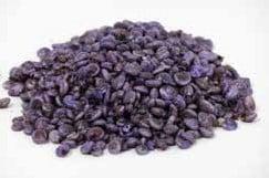 Umbonium Schelpen Violet 200 gram, Ophalen of Verzenden, Nieuw