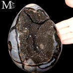 Dragon Stone Fascinerend septaria-geode-ei - Hoogte: 158 mm