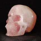 Buitengewone met de hand gesneden schedel in kristal