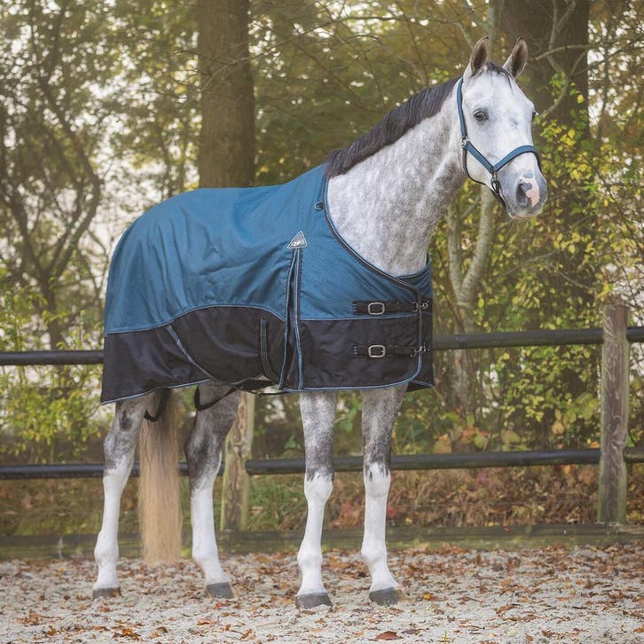 Zomerdeal voor je paard: -15% op alle vlieg- &amp; zomerdekens, Dieren en Toebehoren, Paarden en Pony's | Dekens en Dekjes, Deken