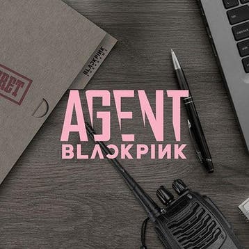 kpop merchandise - Blackpink - Agent blackpink (accessoires), Verzenden, Zo goed als nieuw