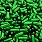 Capsules Maat 4 Groen/Transparant       2000 stuks, Ophalen of Verzenden, Nieuw
