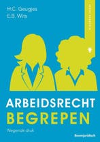 Arbeidsrecht begrepen 9789462907836, Boeken, Zo goed als nieuw