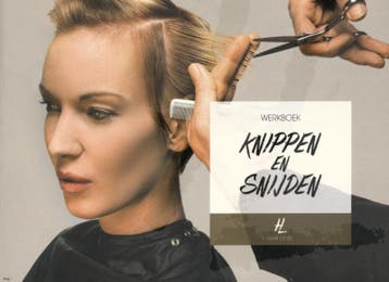 Hair Level Knippen en snijden - Visavi 9789491277627, Boeken, Verzenden, Zo goed als nieuw, Visavi