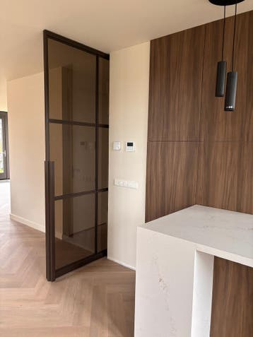Taatsdeur staal - binnendeur met glas, Ophalen of Verzenden, Nieuw, Glas, Binnendeur