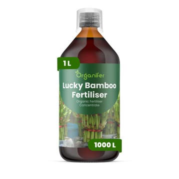 Vloeibare meststof Geluksbamboe - 1 liter, Verzenden, Mest