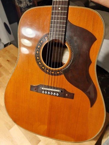 EKO - Ranger VI - - Akoestische gitaar - Italië - 1967, Nieuw