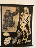 Jung-Koch-Quentell - Frommann & Moritz Verlag;