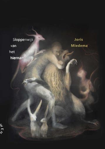 Sloppenwijk Van Het Hiernamaals | Joris Miedema | Nieuw, Ophalen of Verzenden, Nieuw, Joris Miedema