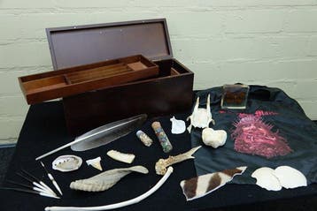 taxidermy treasure box Taxidermie wandmontage - misc items -