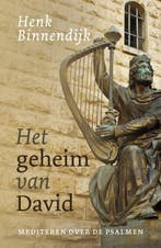 9789043539173 Het geheim van David | Tweedehands, Verzenden, Zo goed als nieuw, Henk Binnendijk
