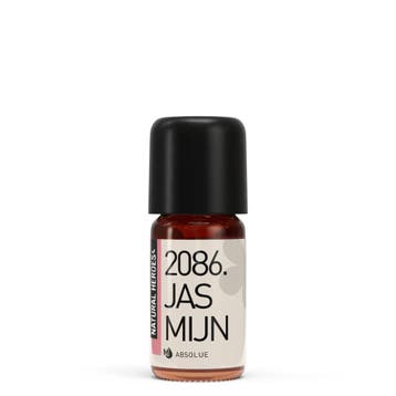 Jasmijn Absolue, Verzenden, Nieuw, Bodylotion, Crème of Olie