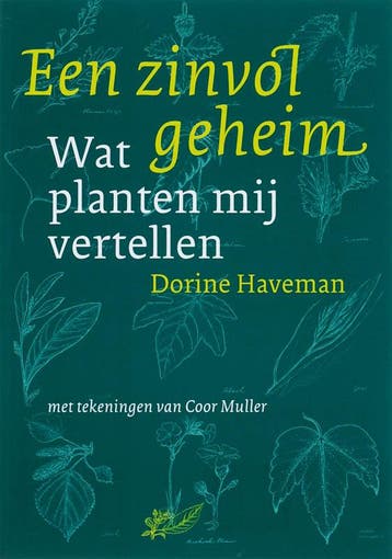 Een zinvol geheim - D. Haveman 9789077408469, Verzenden, Zo goed als nieuw, D. Haveman