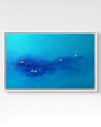 Elena Mosurak - Blue bay