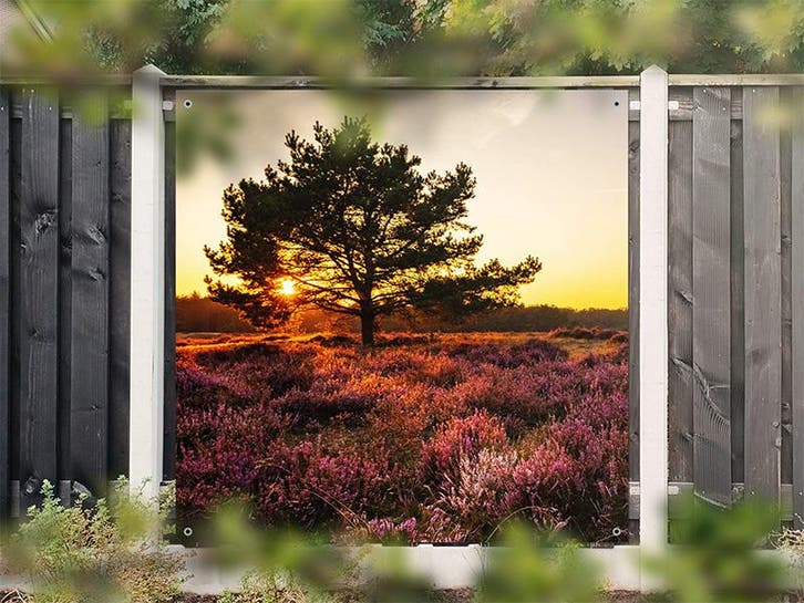 NR 1406: Tuinposter heideveld zonsopgang 180x180cm, Tuin en Terras, Tuinwanddecoratie, Nieuw