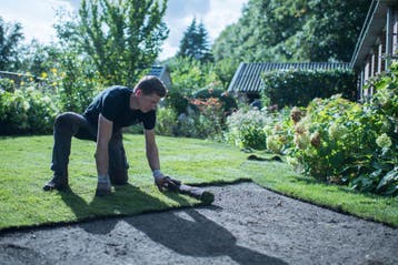Ontdek Topkwaliteit Graszoden: Een Groen Gazon in Elke Tuin!, Verzenden, Nieuw, Gras