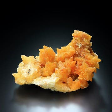 GEEN RESERVE. NIEUWE VINDST. Oranje calciet met gips,