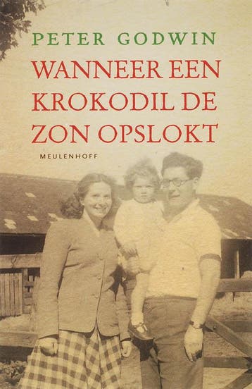 WANNEER EEN KROKODIL DE ZON OPSLOKT - P. Godwin, Verzenden, Gelezen, P. Godwin