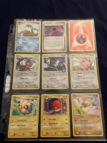 Pokémon - 135 Card - EX Ruby & Sapphire to HeartGold &, Nieuw
