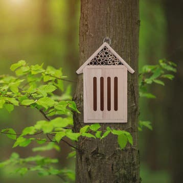 Houten Insectenhotel - Nestkast voor Nuttige Insecten in de