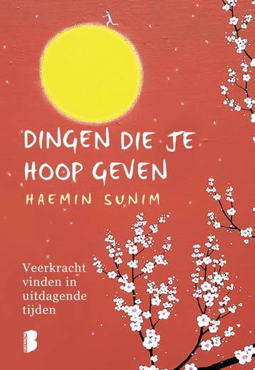 Dingen die je hoop geven - Haemin Sunim 9789022598368, Verzenden, Gelezen, Haemin Sunim