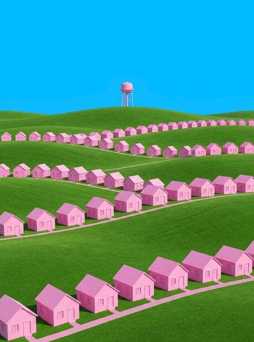 Téber - Pink Ladies (Dreamcore), Antiek en Kunst, Kunst | Designobjecten