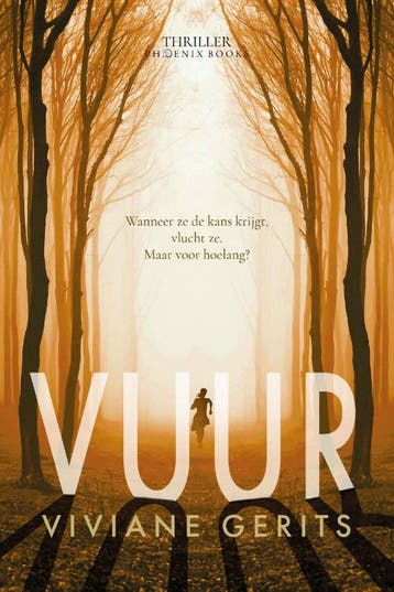 Vuur 9789083254050 Viviane Gerits, Verzenden, Zo goed als nieuw, Viviane Gerits
