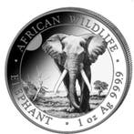 Somalische Olifant 1 kg 2025, Verzenden, Overige landen, Losse munt, Zilver