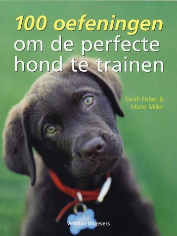 100 oefeningen om de perfecte hond te trainen 9789048300907, Verzenden
